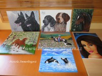 /album/fotogalerie-jina-tvorba/a0e-s-w-jpg/